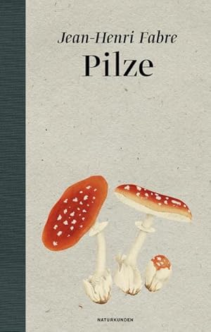 Immagine del venditore per Pilze venduto da Wegmann1855