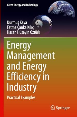 Bild des Verkufers fr Energy Management and Energy Efficiency in Industry : Practical Examples zum Verkauf von AHA-BUCH GmbH