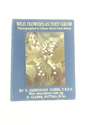 Image du vendeur pour Wild Flowers As They Grow Fifth Series mis en vente par World of Rare Books