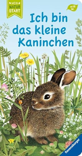 Seller image for Ich bin das kleine Kaninchen for sale by Wegmann1855
