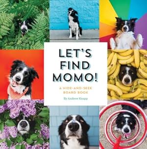Seller image for Let's Find Momo! for sale by Wegmann1855