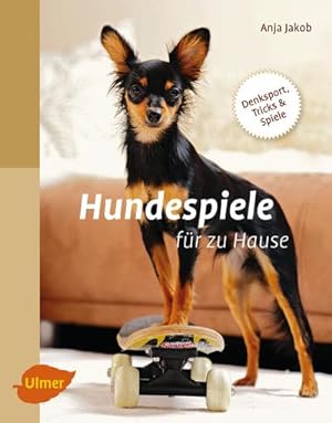 Immagine del venditore per Hundespiele fr zu Hause venduto da Wegmann1855