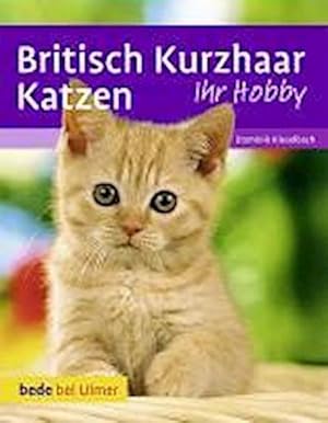 Seller image for Britisch Kurzhaar Katzen for sale by Wegmann1855