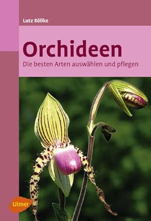 Bild des Verkufers fr Orchideen zum Verkauf von Wegmann1855