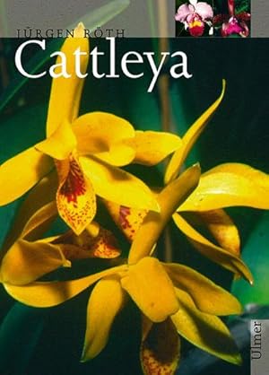 Seller image for Cattleya for sale by Wegmann1855
