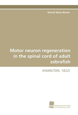 Bild des Verkufers fr Motor neuron regeneration in the spinal cord of adult zebrafish zum Verkauf von Wegmann1855