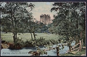 Blarney Castle Postcard Co. Cork Published In Dublin Vintage