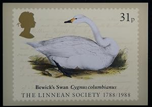 Seller image for Berwick's Swan Royal Mail Stamps Postcard for sale by Postcard Anoraks