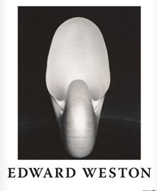 Seller image for Edward Weston The Flame of Recognition for sale by 32.1  Rare Books + Ephemera, IOBA, ESA