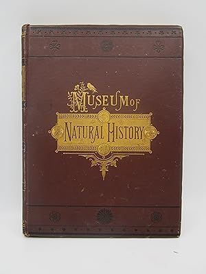 The Museum of Natural History (Volume III) being a popular account of the structure, habits, and ...