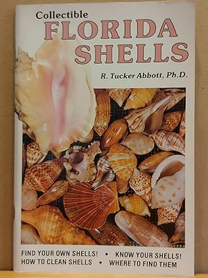 Image du vendeur pour Collectible Florida Shells mis en vente par H.S. Bailey