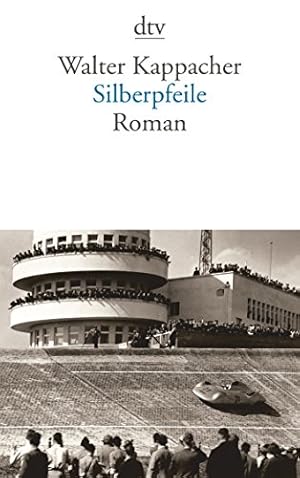 Bild des Verkufers fr Silberpfeile : Roman. dtv ; 13873 zum Verkauf von Antiquariat Buchhandel Daniel Viertel