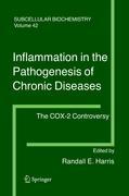 Seller image for Inflammation in the Pathogenesis of Chronic Diseases for sale by moluna