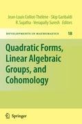 Imagen del vendedor de Quadratic Forms, Linear Algebraic Groups, and Cohomology a la venta por moluna