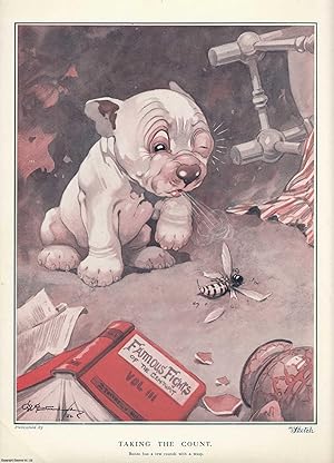 Seller image for Bonzo The Dog: Taking The Count. Bonzo has a few rounds with a wasp. An original coloured large Bonzo the Dog print by the famous illustrator G.E. Studdy, undated, but c.1925. for sale by Cosmo Books