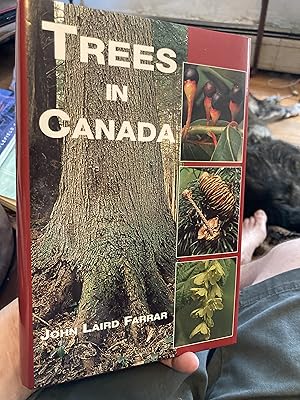 Imagen del vendedor de Trees In Canada a la venta por A.C. Daniel's Collectable Books