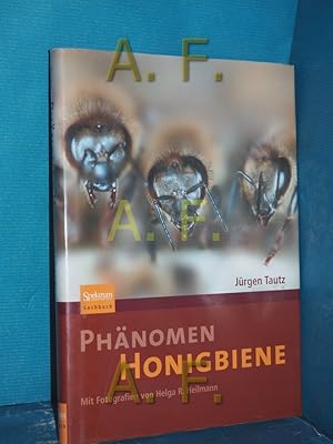 Imagen del vendedor de Phnomen Honigbiene Mit Fotogr. von Helga R. Heilmann / Spektrum-Akademischer-Verlag-Sachbuch a la venta por Antiquarische Fundgrube e.U.