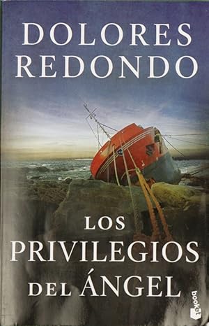 Imagen del vendedor de Los privilegios del ngel a la venta por Librera Alonso Quijano