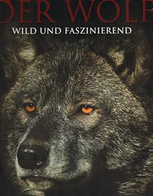 Der Wolf: Faszinierende Einblicke und spektakuläre Fotografien