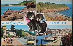 Exmouth Postcard Orcombe Sandy Bay Lucky Black Cat Series Collector