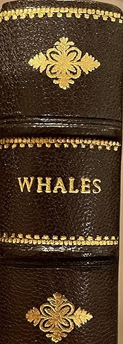 Natural History of the Ordinary Cetacea or Whales