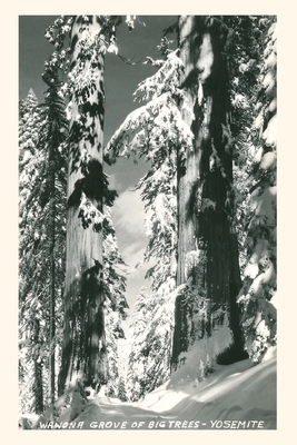 Seller image for Vintage Journal Wawona Grove of Big Trees, Yosemite (Paperback or Softback) for sale by BargainBookStores