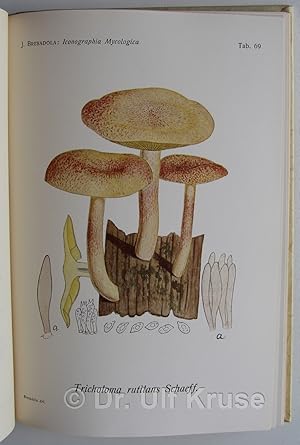 Imagen del vendedor de Iconographia Mycologica et Supplementum. I-XXIX (29 in 32 Bnden = komplett). Mit 3 Portrts, 1471 farbig lithographierten sowie 59 schwarzweien Tafeln. a la venta por Antiquariat Bibliakos / Dr. Ulf Kruse