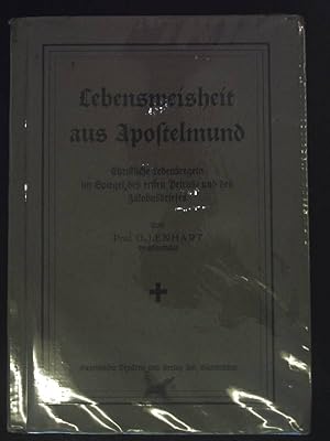 Imagen del vendedor de Zusprche im Beichtstuhle nebst Buvorschriften nach den evangelischen Perikopen und Festen des Kirchenjahres: Mit einem Anhange von Zusprchen nebst Buvorschriften fr besondere Klassen von Pnitenten. a la venta por books4less (Versandantiquariat Petra Gros GmbH & Co. KG)