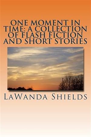 Imagen del vendedor de One Moment in Time : A Collection of Flash Fiction and Short Stories a la venta por GreatBookPrices