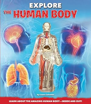 Seller image for EXPLORE THE HUMAN BODY for sale by Reliant Bookstore