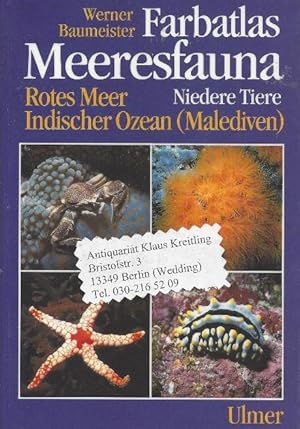 Seller image for Farbatlas Meeresfauna Niedere Tiere - Rotes Meer, Indischer Ozean ( Malediven ) 392 Arten in Wort und Bild. 344 Farbfotos for sale by Klaus Kreitling