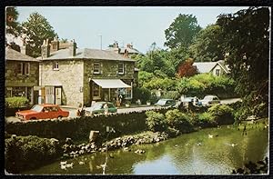 Bonchurch Postcard Isle Of Wight Village Pond