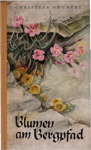 Bild des Verkufers fr Blumen am Bergpfad. Jugendbuchreihe Erlebte Welt ; Bd. 44 zum Verkauf von Schrmann und Kiewning GbR