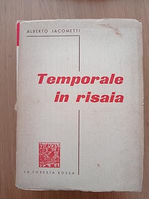 Temporale in risaia