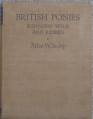 British Ponies Running Wild and Ridden