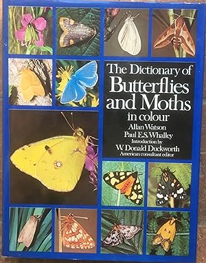 Imagen del vendedor de The Dictionary of Butterflies and Moths in colour a la venta por The Glass Key