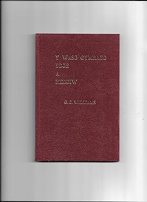 Seller image for Y wasg Gymraeg ddoe a heddiw for sale by Gwyn Tudur Davies