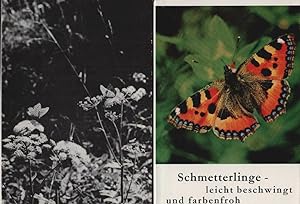 Bild des Verkufers fr Schmetterlinge leicht beschwingt und farbenfroh / Kleine Kostbarkeiten; 40. Druck zum Verkauf von Schrmann und Kiewning GbR
