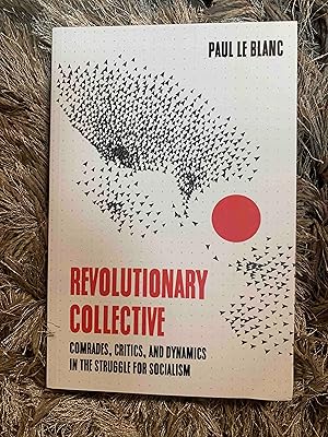 Revolutionary Collective: Comrades, Critics, and Dynamics in the Struggle for Socialism