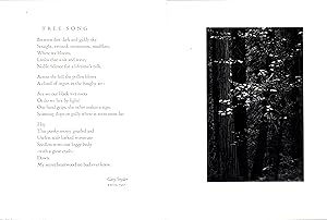 Seller image for Tree Song Broadside and Dogwood, Forest-Yosemite Photograph for sale by Back of Beyond Books WH