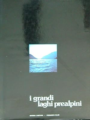 Image du vendeur pour I grandi laghi prealpini mis en vente par Librodifaccia