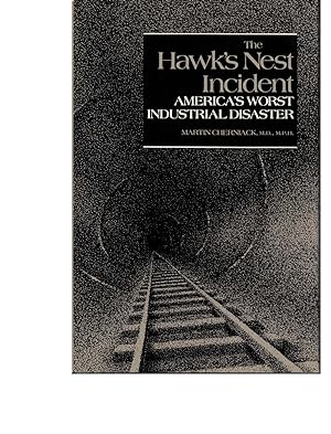 The Hawk's Nest Incident: America's Worst Industrial Disaster