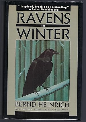 Ravens in Winter