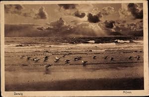 Ansichtskarte / Postkarte Danzig, Möwen am Strand - Stengel 41651