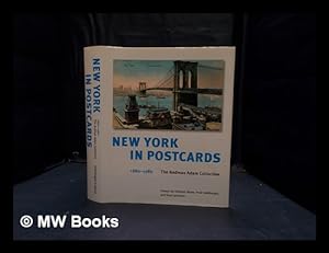 Bild des Verkufers fr New York in postcards, 1880-1980 : the Andreas Adam collection zum Verkauf von MW Books