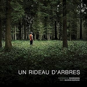 Un rideau d'arbres