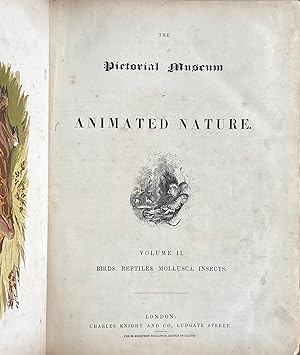 Pictorial museum of animated nature (Goldsmith)