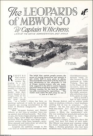 Imagen del vendedor de The Leopards of Mbwongo. An uncommon original article from the Wide World Magazine, 1938. a la venta por Cosmo Books