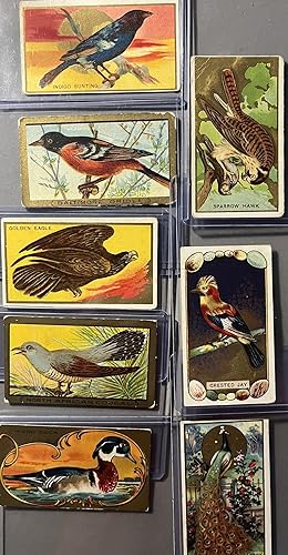 A Grouping of Eight [8] Early 20th Century Mecca Bird Series White Border 1 - 100 Tobacco Cards