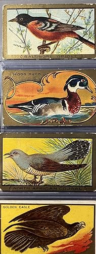 A Grouping of Six [6] Early 20th Century Bird Series 1 - 100 Tobacco Cards